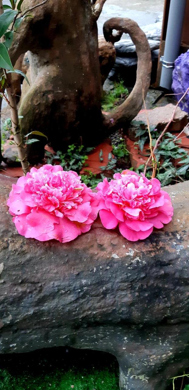 Lushan Xiangting Tea Homestay Renai Bagian luar foto